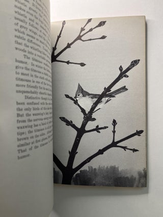 Birds in Your Back Yard