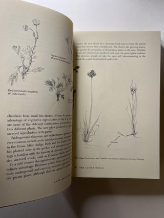 Land Above the Trees: A Guide to American Alpine Tundra