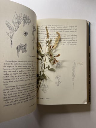 Land Above the Trees: A Guide to American Alpine Tundra