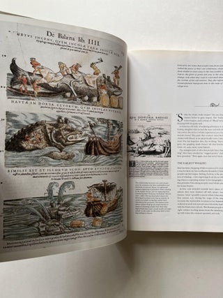 Whales (inscribed)