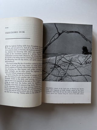North with the Spring (signed)