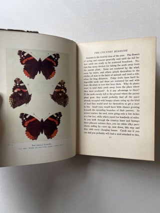 Nature Rambles: Autumn (signed)