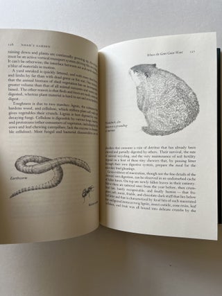 Noah's Garden: Restoring the Ecology of our Own Backyards (inscribed)