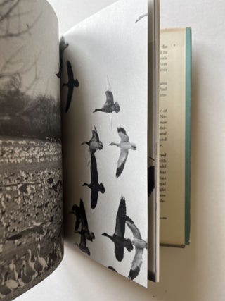 Song of the North Wind: A Story of the Snow Goose (signed to his son)