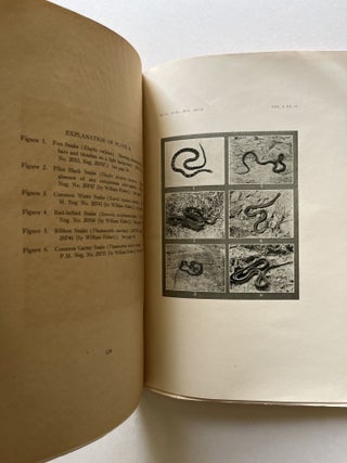 The Amphibians and Reptiles of Wisconsin (Herbert Stoddard's copy)