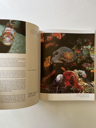 The Ocean World (signed)