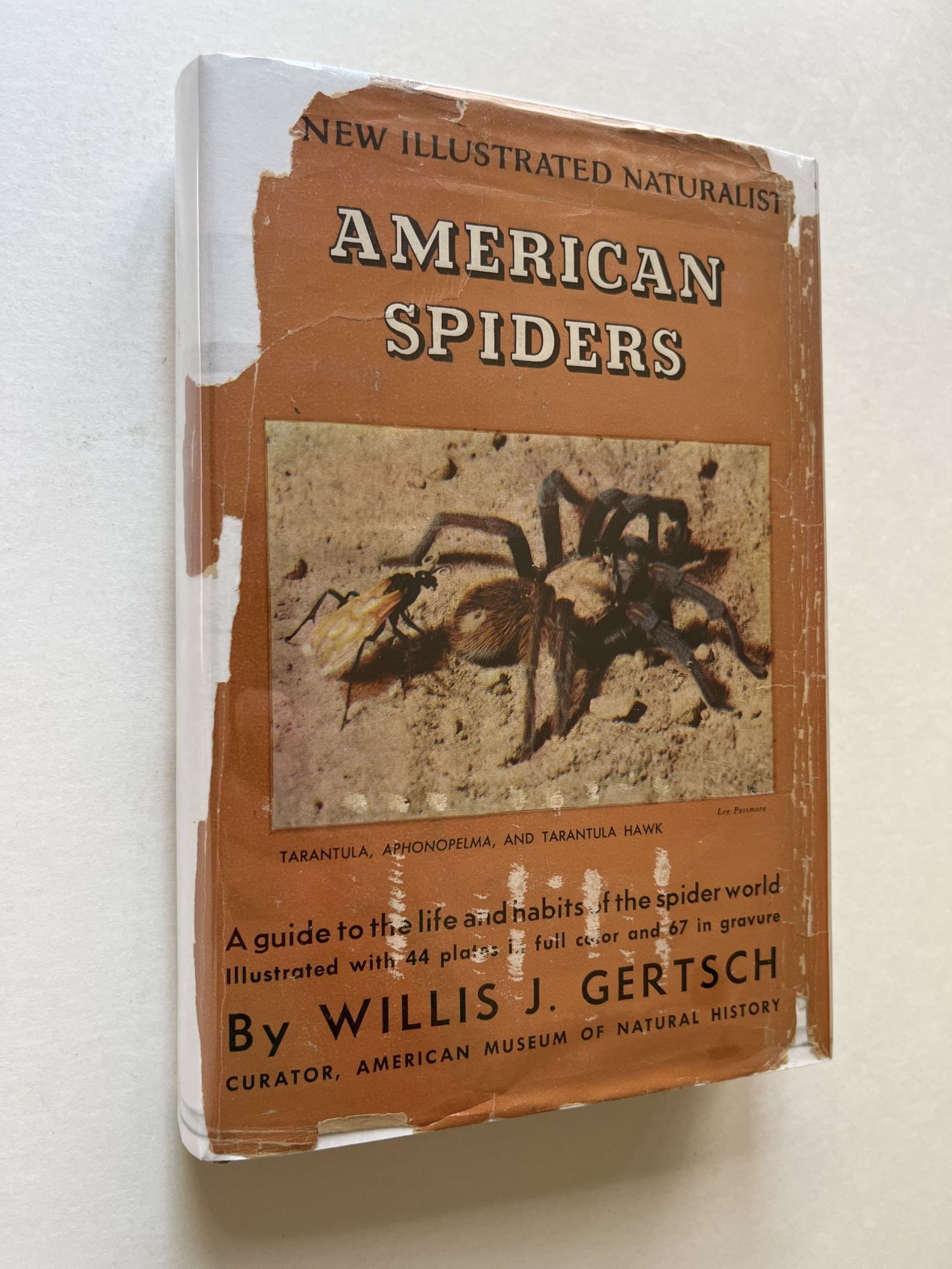 American Spiders inscribed with letter | Willis J. Gertsch | First