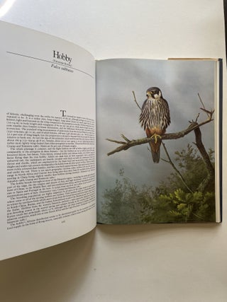 Falcons of the World (inscribed)