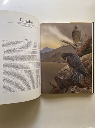 Falcons of the World (inscribed)