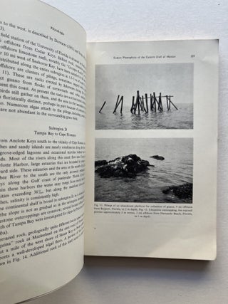 Phaeophyta of the Eastern Gulf of Mexico, Phycologia Vol. 7, No. 2 (Sylvia Earle's dissertation, signed)