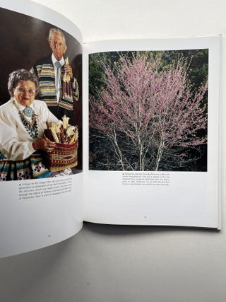 Oklahoma II (inscribed by the governor of Oklahoma to N. Scott Momaday)