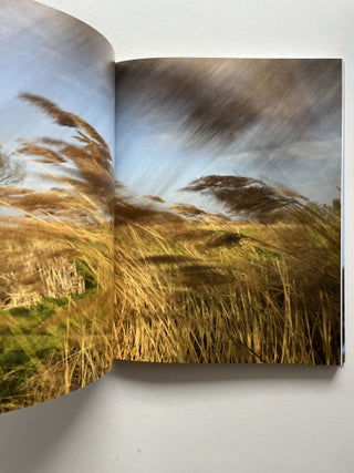 Mistral: The Legendary Wind of Provence (inscribed to Joan Didion)