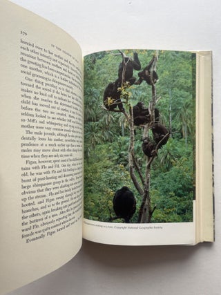 In the Shadow of Man (inscribed)