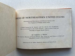 Ferns: Illustrations and Descriptions of All Known Species in New England and Middle-Atlantic States (inscribed)