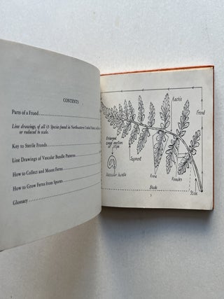 Ferns: Illustrations and Descriptions of All Known Species in New England and Middle-Atlantic States (inscribed)
