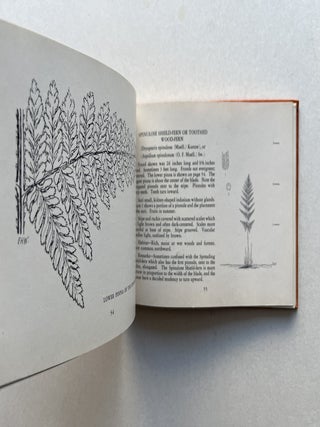 Ferns: Illustrations and Descriptions of All Known Species in New England and Middle-Atlantic States (inscribed)