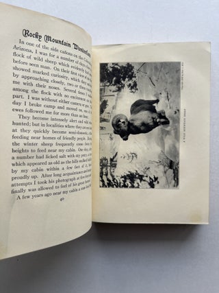 The Rocky Mountain Wonderland (inscribed)