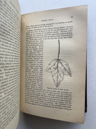 Practical Forestry: A Treatise on the Propagation , Planting, and Cultivation, with a Description, and the Botanical and Popular Names of all the Indigenous Trees of the United States . . .