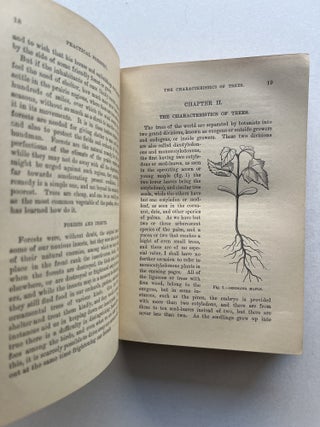Practical Forestry: A Treatise on the Propagation , Planting, and Cultivation, with a Description, and the Botanical and Popular Names of all the Indigenous Trees of the United States . . .