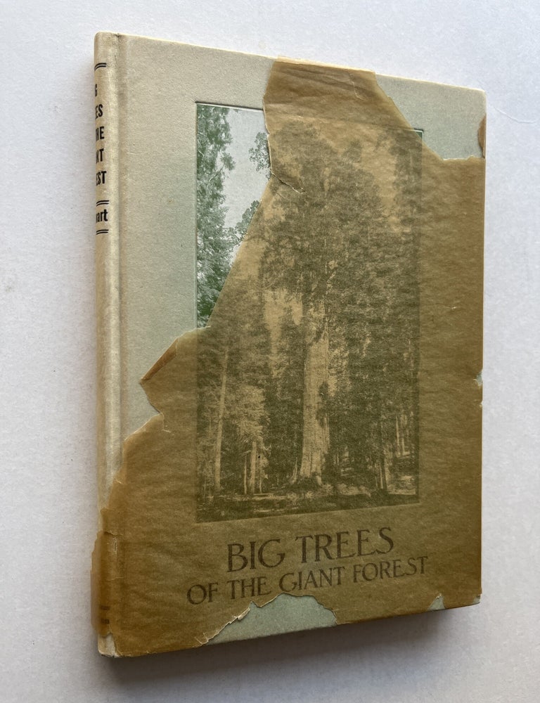 Item #2213 Big Trees of the Giant Forest: Sequoia National Park in the Sierra Nevada of California: Their Life Story from the Blossom Onward (inscribed to C. Hart Merriam). George W. Stewart, C. Hart Merriam.