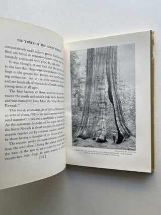 Big Trees of the Giant Forest: Sequoia National Park in the Sierra Nevada of California: Their Life Story from the Blossom Onward (inscribed to C. Hart Merriam)