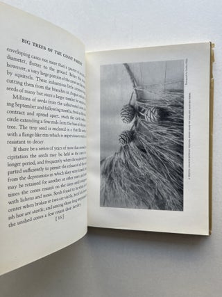Big Trees of the Giant Forest: Sequoia National Park in the Sierra Nevada of California: Their Life Story from the Blossom Onward (inscribed to C. Hart Merriam)