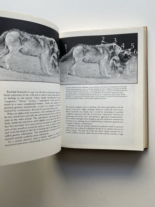 Of Wolves and Men (inscribed)